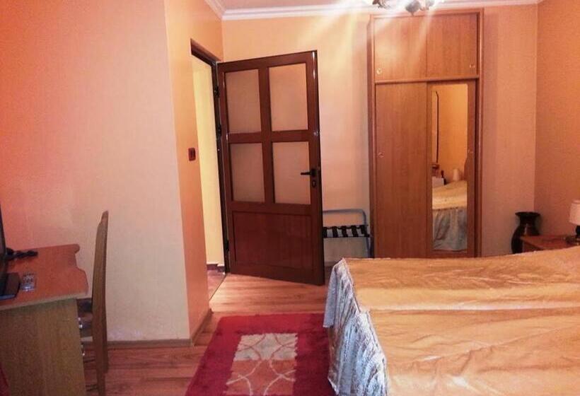 اتاق استاندارد برای معلولان, Family Hotel Silvestar