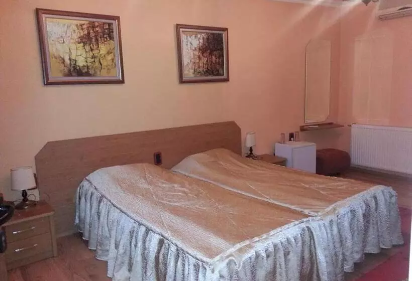 اتاق استاندارد برای معلولان, Family Hotel Silvestar