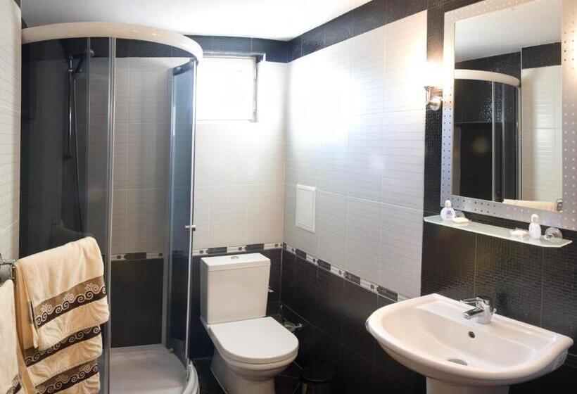 标准三人间, Aneli