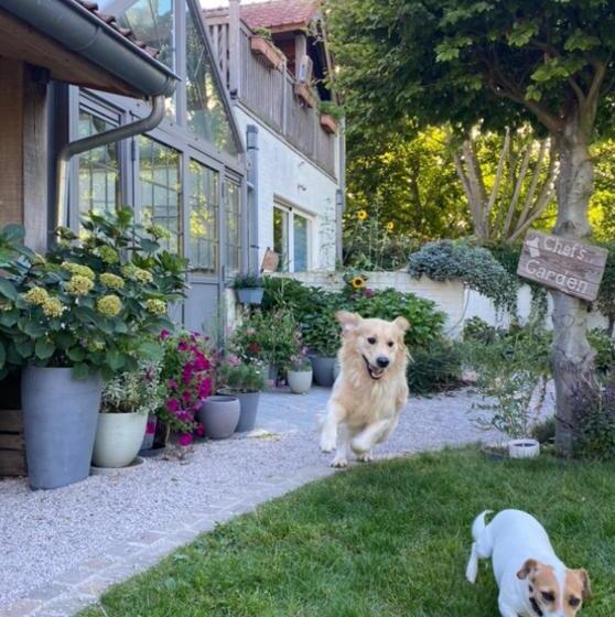 Дом 1 Спальня, Horenbecca Bistro & Wellness