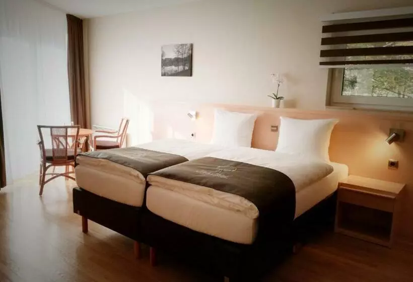 Chambre Standard, Park Hotel Kelmis
