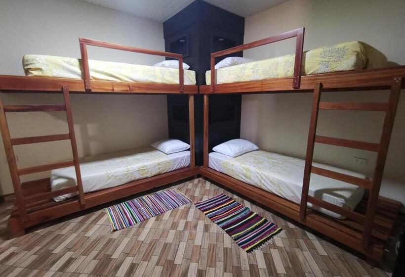 استودیو خانوادگی, Casa Alamanda   Posada Urbana