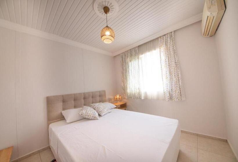 Quarto Estandar, Bhavana Gökova