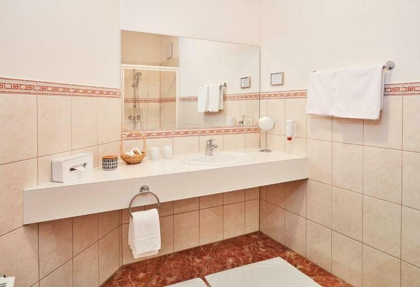 Полулюкс с Балконом, Garni Schöne Aussichten