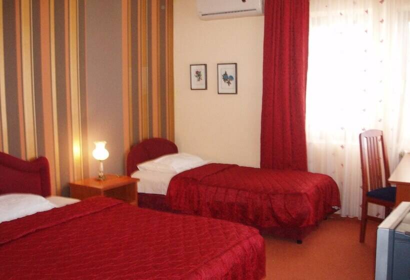 اتاق استاندارد, Ani