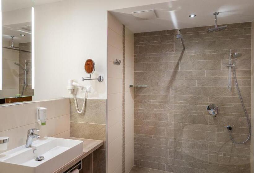 חדר סטנדרט יחיד, Das Steinberger