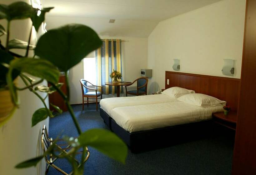 スタンダードルーム, Golf De Saint Junien