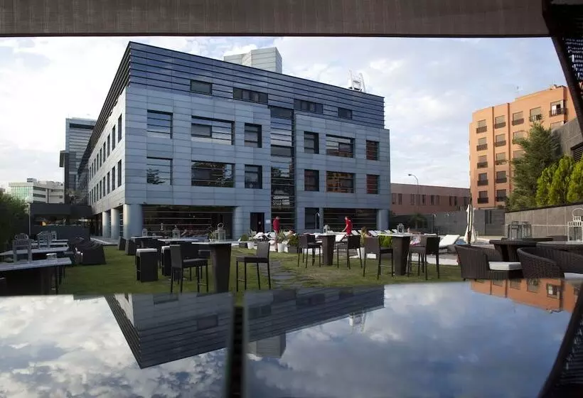 اتاق اجرایی, Nuevo Boston