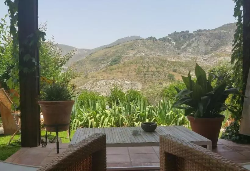 اتاق استاندارد با تراس, La Almunia Del Valle