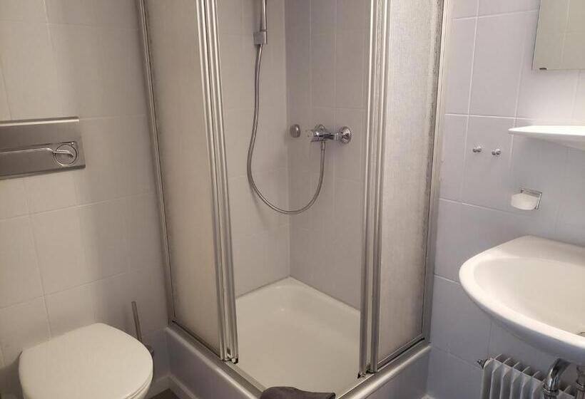 اتاق استاندارد با چشم‌انداز باغ, Alter Hirsch