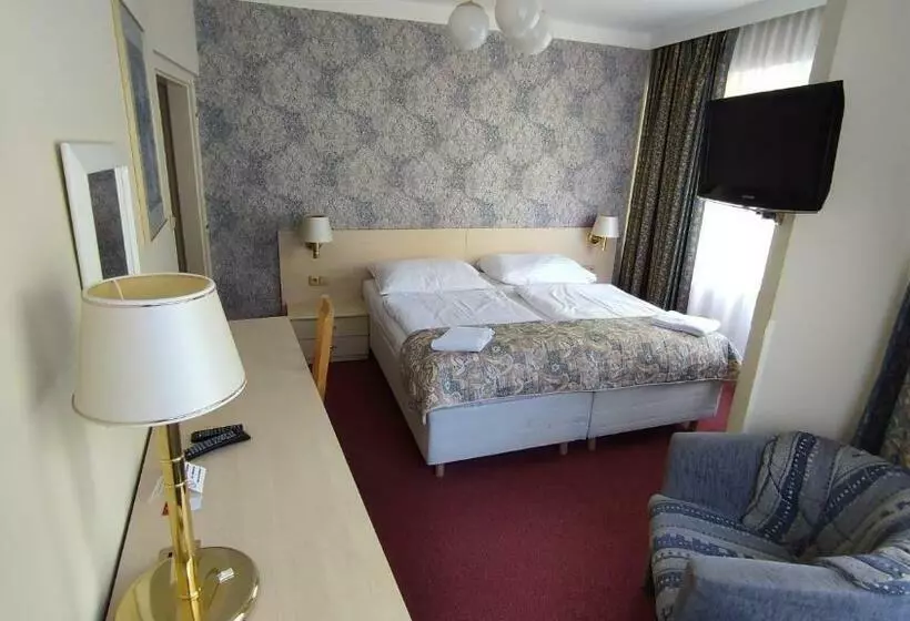 Standard-huone, Parkhotel Sokolov