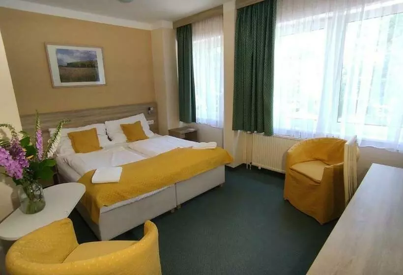 Standard-huone, Parkhotel Sokolov