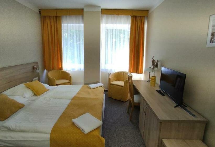 Номер Стандарт, Parkhotel Sokolov