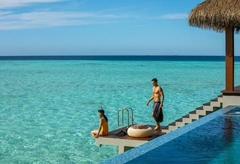 ویلای یک اتاق خوابه با استخر شنا, Pullman Maldives All Inclusive Resort
