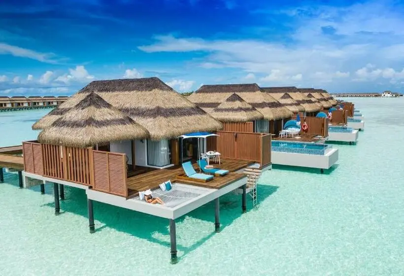 ویلای 1 خوابه, Pullman Maldives All Inclusive Resort