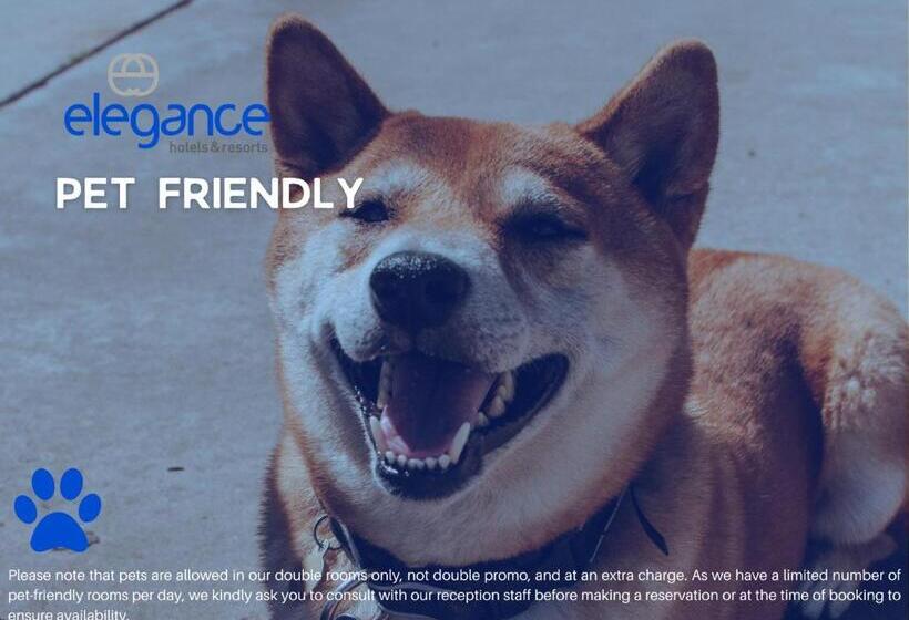 اتاق استاندارد, Blu Hostal Diana