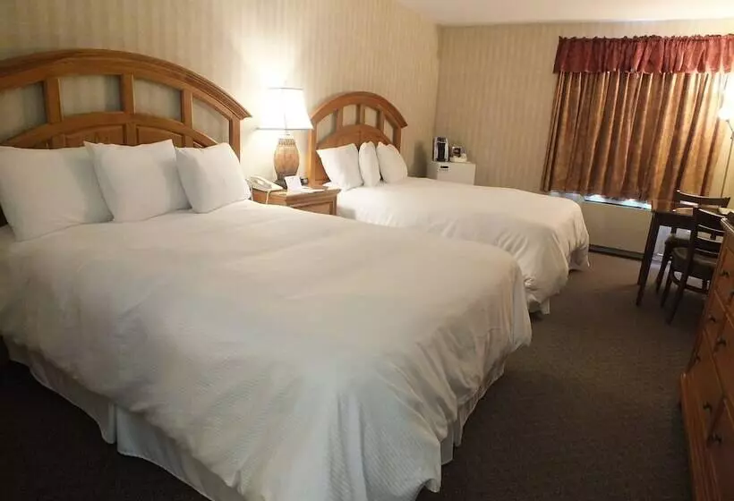 コンフォートルーム, Auberge Du Draveur