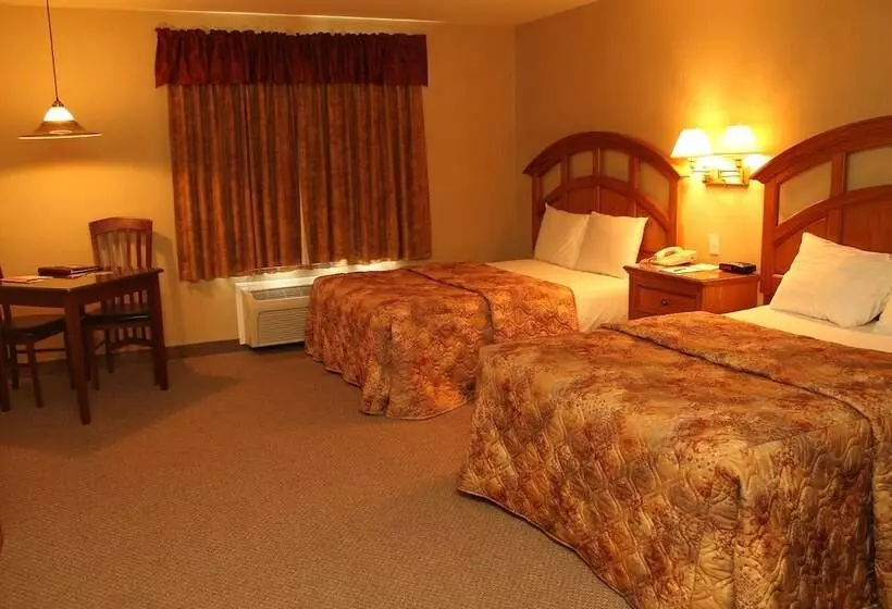 コンフォートルーム, Auberge Du Draveur