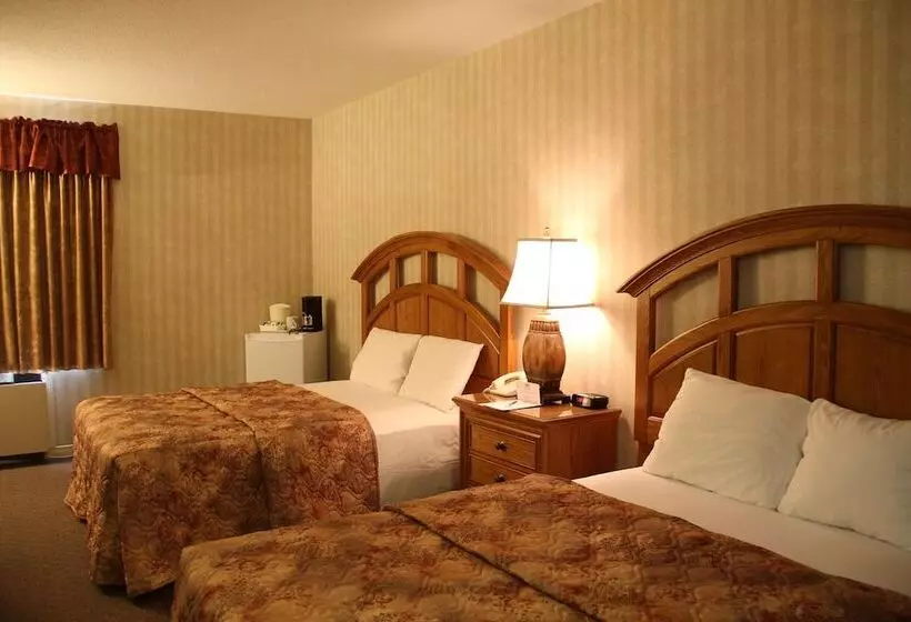 コンフォートルーム, Auberge Du Draveur