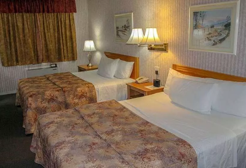 コンフォートルーム, Auberge Du Draveur