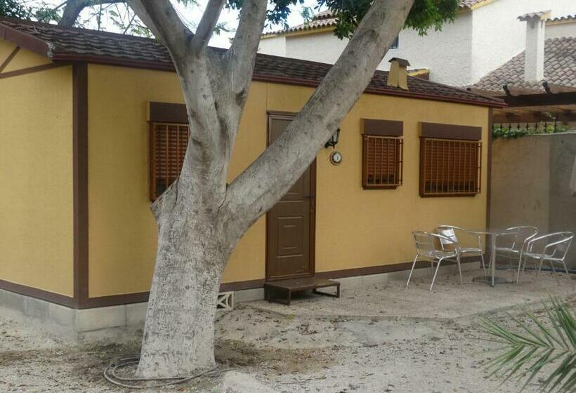 スタンダードバンガロー, Camping Las Palmeras