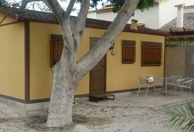 スタンダードバンガロー, Camping Las Palmeras