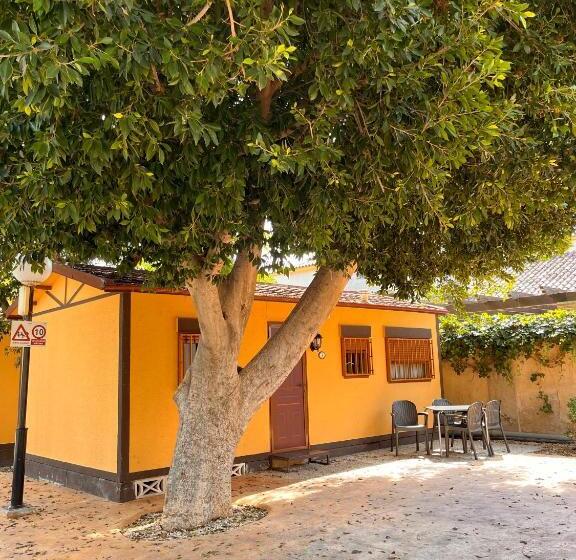 بانگلوی استاندارد, Camping Las Palmeras