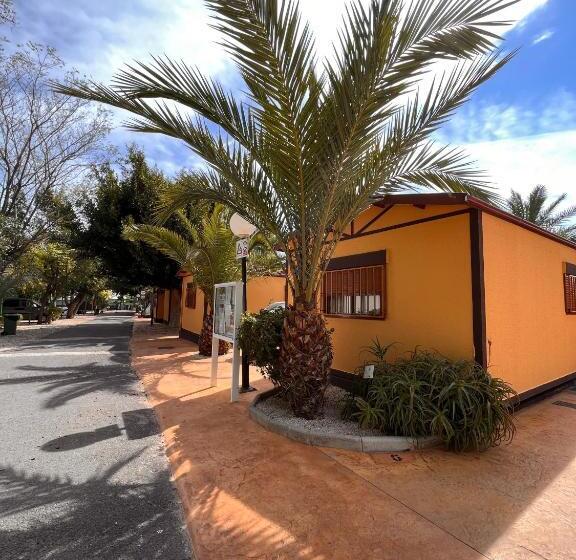 스탠다드 방갈로, Camping Las Palmeras