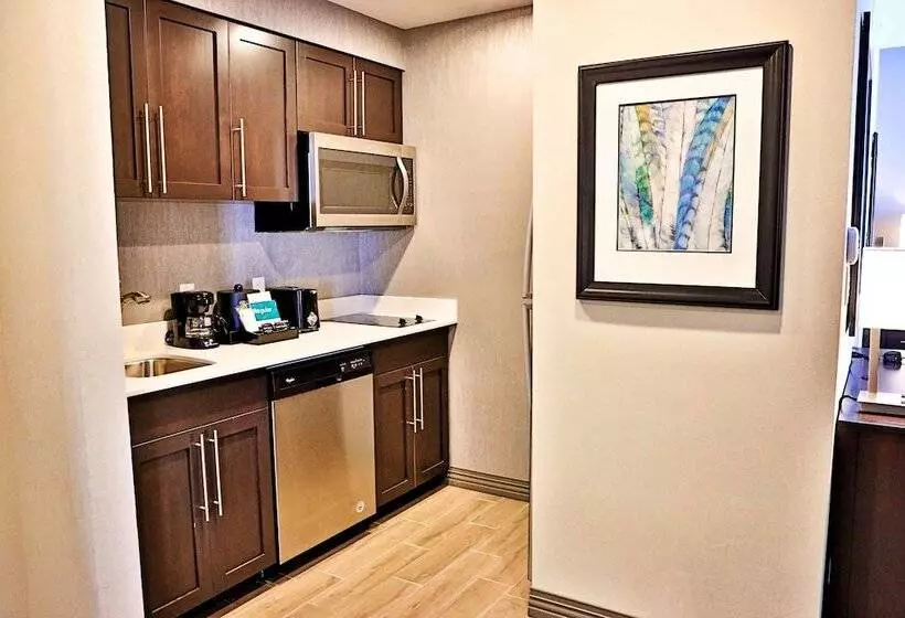 سوییت, Homewood Suites By Hilton Asheville