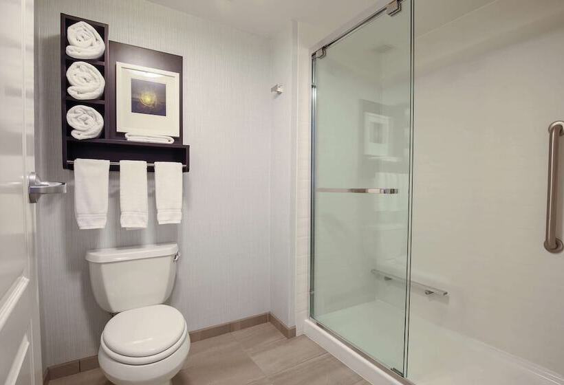 Люкс, Homewood Suites By Hilton   Asheville
