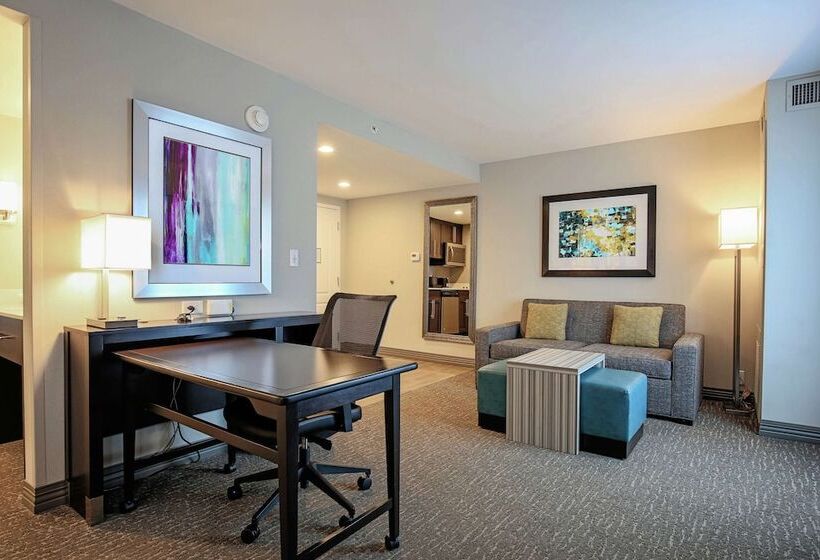 高级工作室, Homewood Suites By Hilton Asheville