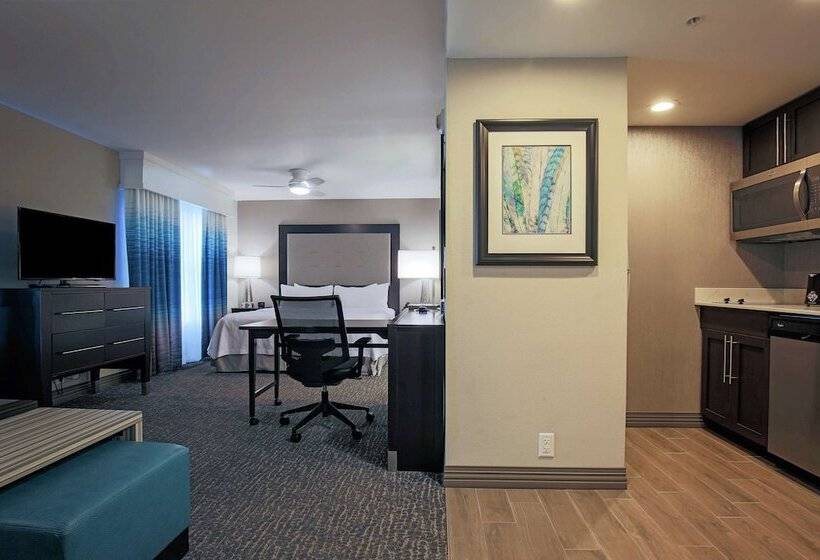 高级工作室, Homewood Suites By Hilton Asheville