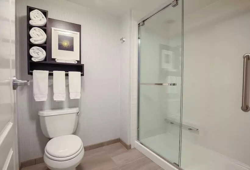 سوئیت پریمیوم, Homewood Suites By Hilton Asheville