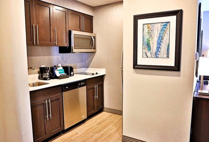 Люкс Премиум, Homewood Suites By Hilton   Asheville