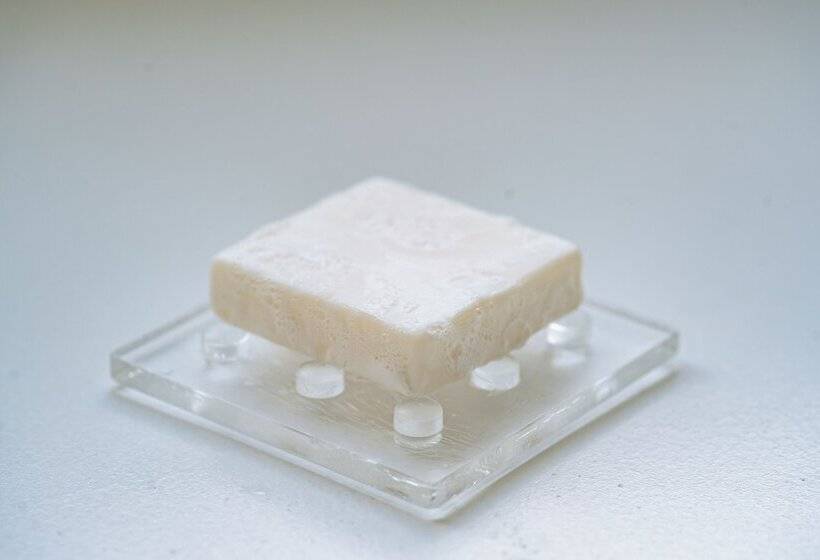 ファミリールーム, Paradou Mediterranee, Bw Signature Collection By Best Western