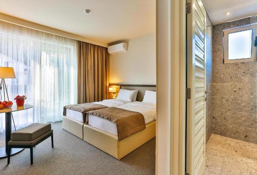 スタンダードルーム, Bono