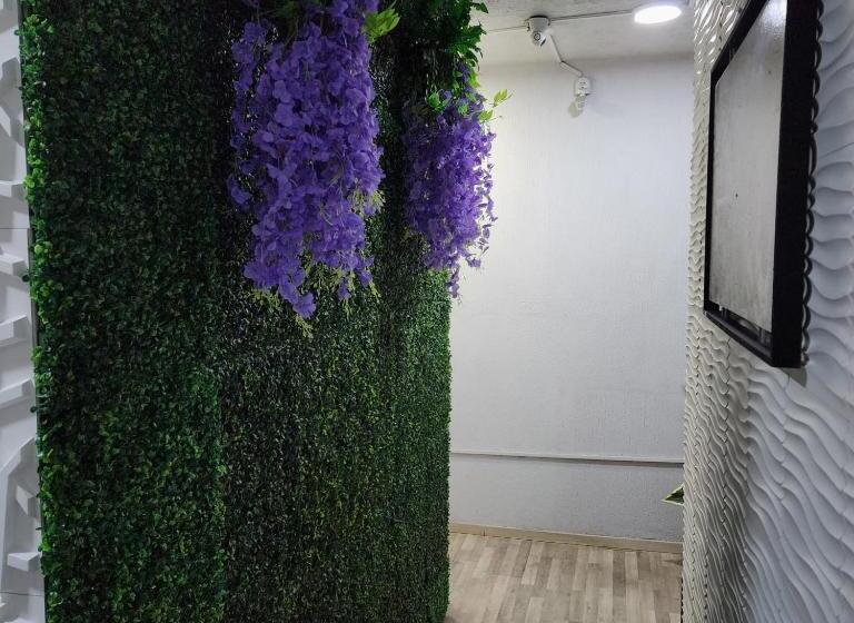 Quarto Estandar Individual, El Hostalito Metepec