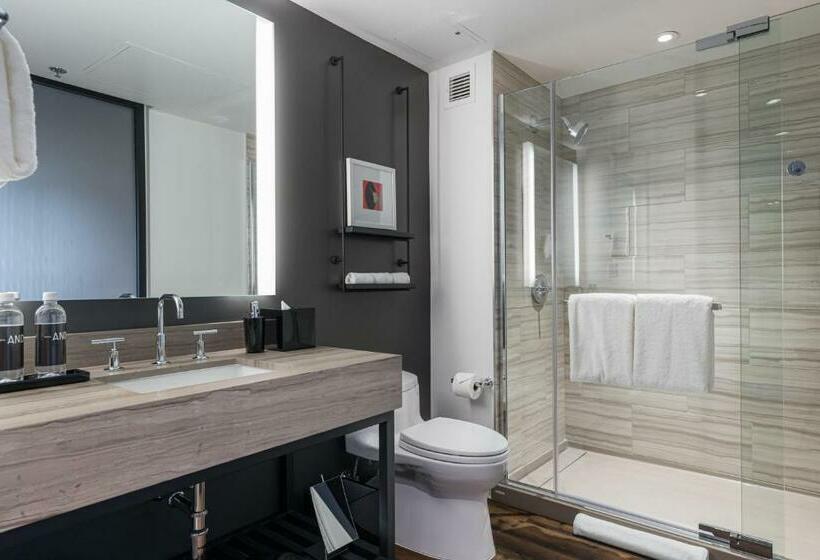 스탠다드 룸 킹사이즈 침대, Shashi Hotel Mountain View Palo Alto