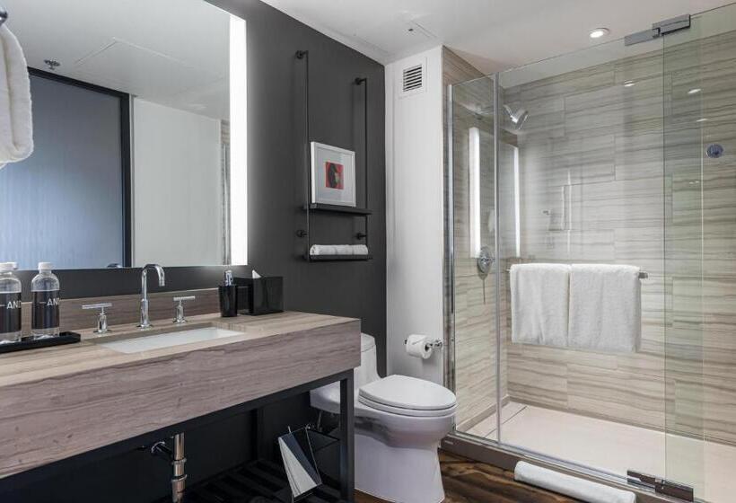 Номер Стандарт, Shashi Hotel Mountain View Palo Alto