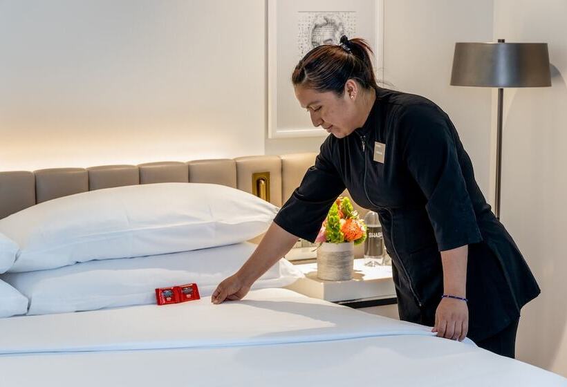 프리미엄 룸, Shashi Hotel Mountain View Palo Alto