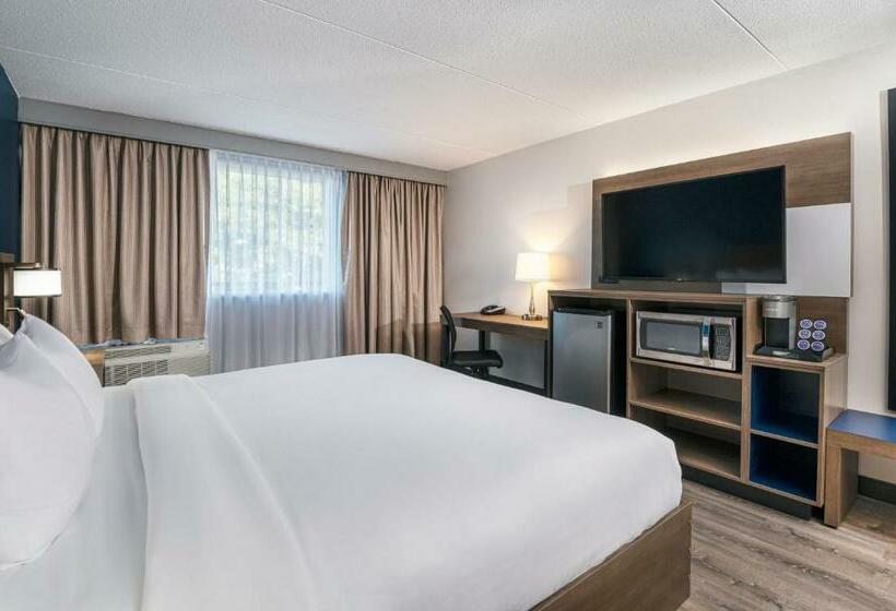 キングサイズベッドのスタンダードルーム, Comfort Suites Kingston Central