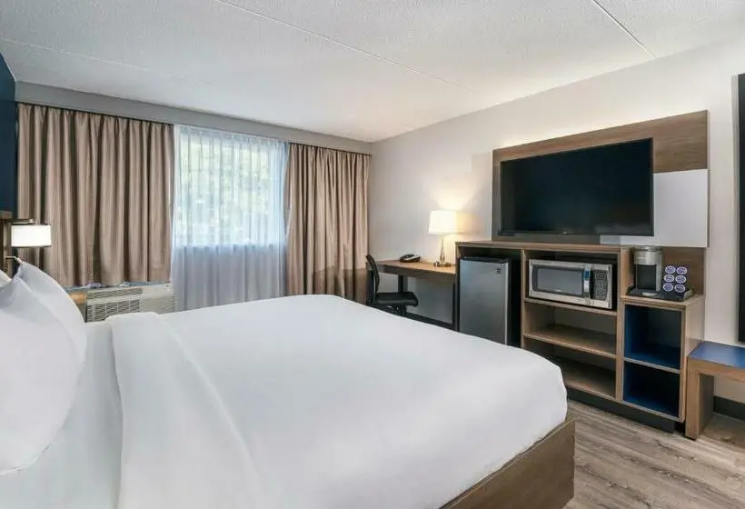 キングサイズベッドのスタンダードルーム, Comfort Suites Kingston Central