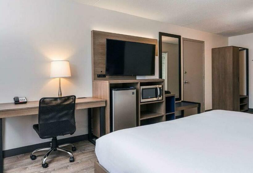 장애인을 위한 스탠다드 룸, Comfort Suites Kingston Central