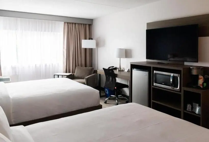 スタンダードルーム, Comfort Suites Kingston Central
