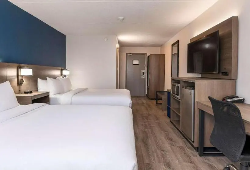 スタンダードルーム, Comfort Suites Kingston Central