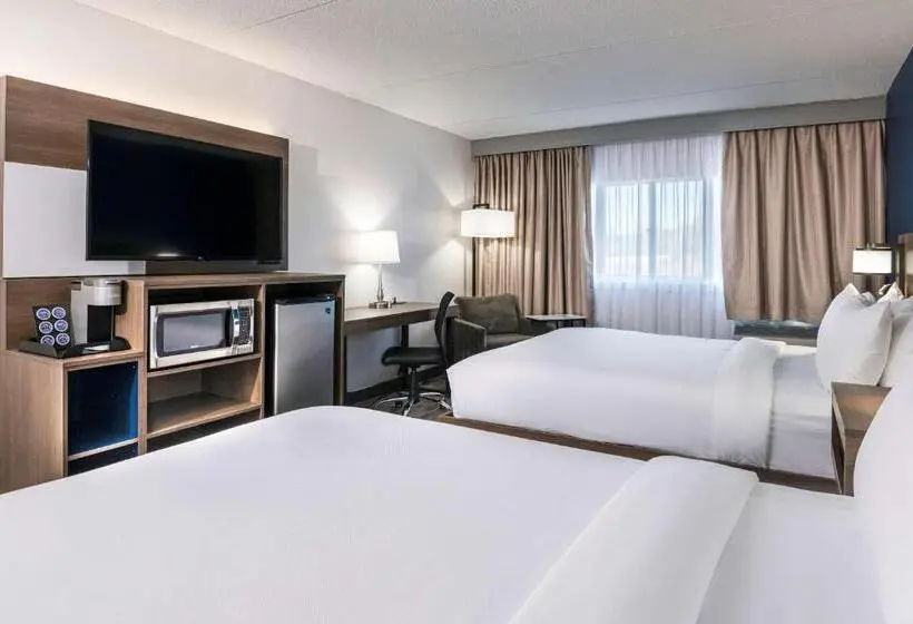 スタンダードルーム, Comfort Suites Kingston Central