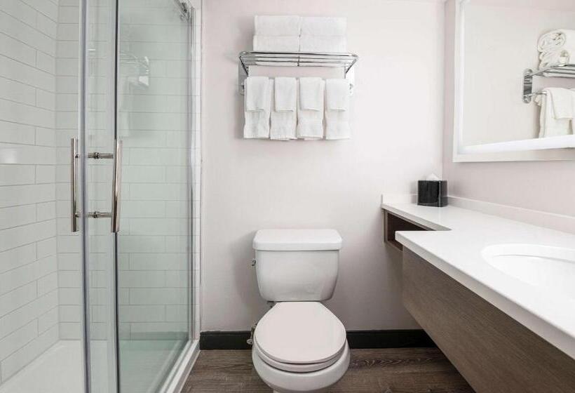 스탠다드 룸, Comfort Suites Kingston Central