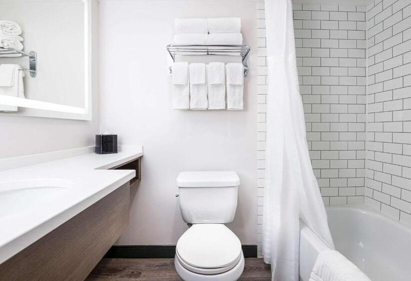 스탠다드 룸, Comfort Suites Kingston Central