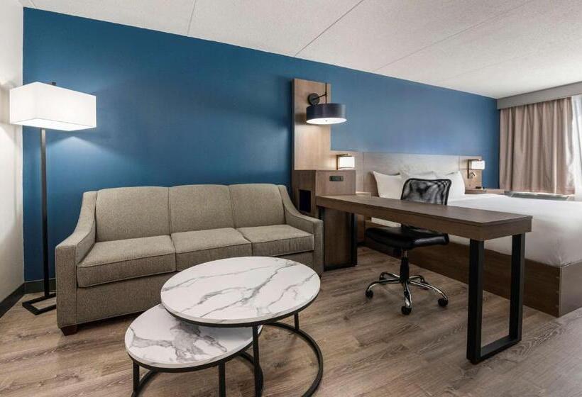 キングサイズベッドのスタンダードルーム, Comfort Suites Kingston Central