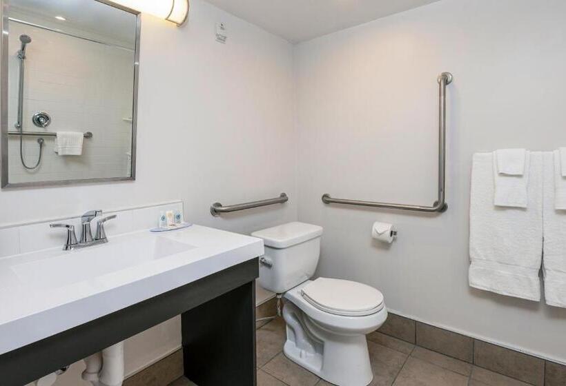 身障者適用スタンダードルーム, Comfort Suites Kingston Central